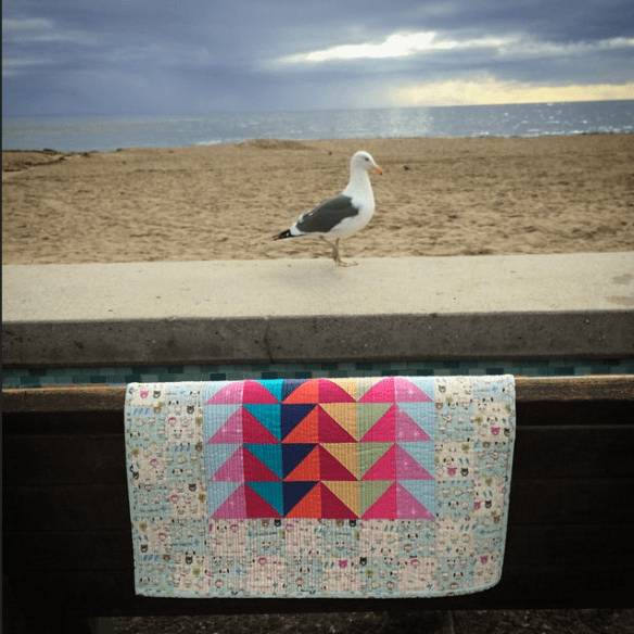 IG Mini by Karen Foster, Capitola Quilter IG Mini by Karen Foster, Capitola Quilter