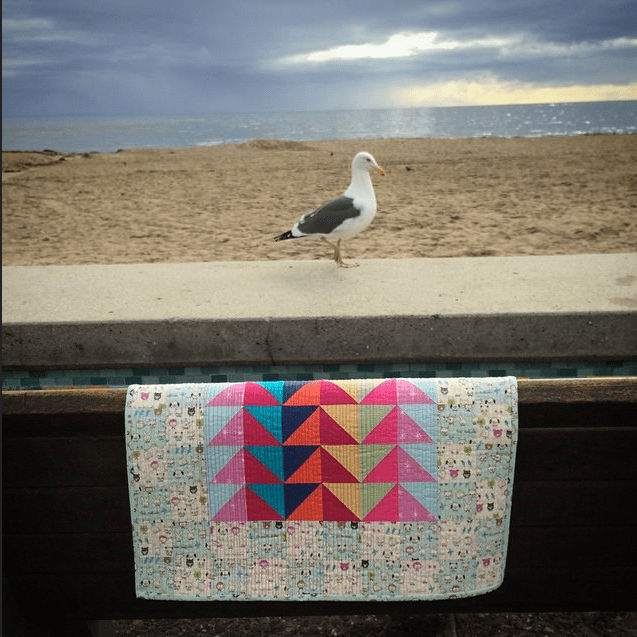 IG Mini by Karen Foster, Capitola Quilter