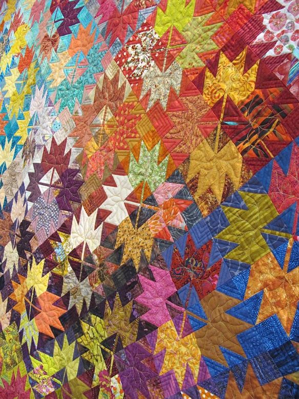 Mass Maples by Timna Tarr