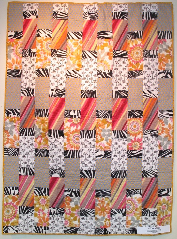 Rectangles by Diana Mc Clun and Laura Nownes, machine quilted by Kathy August Rectangles by Diana Mc Clun and Laura Nownes, machine quilted by Kathy August