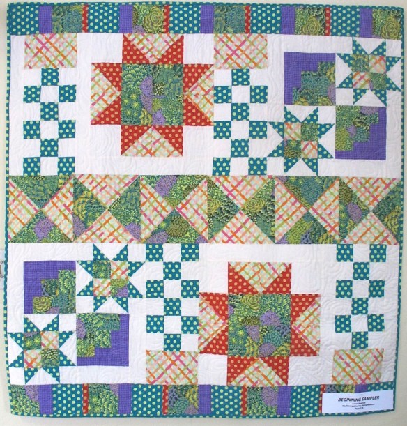 Beginning Sampler by Laura Nownes, quilted by Marla Monson, p. 178 of Quilts! Quilts!! Quilts!!! 3rd edition Beginning Sampler by Laura Nownes, quilted by Marla Monson, p. 178 of Quilts! Quilts!! Quilts!!! 3rd edition
