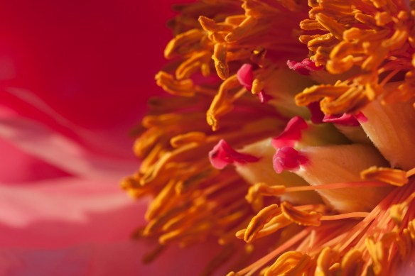 ©Jack French ©Jack French