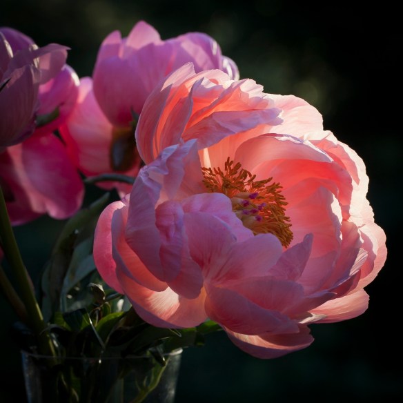 ©Jack French ©Jack French