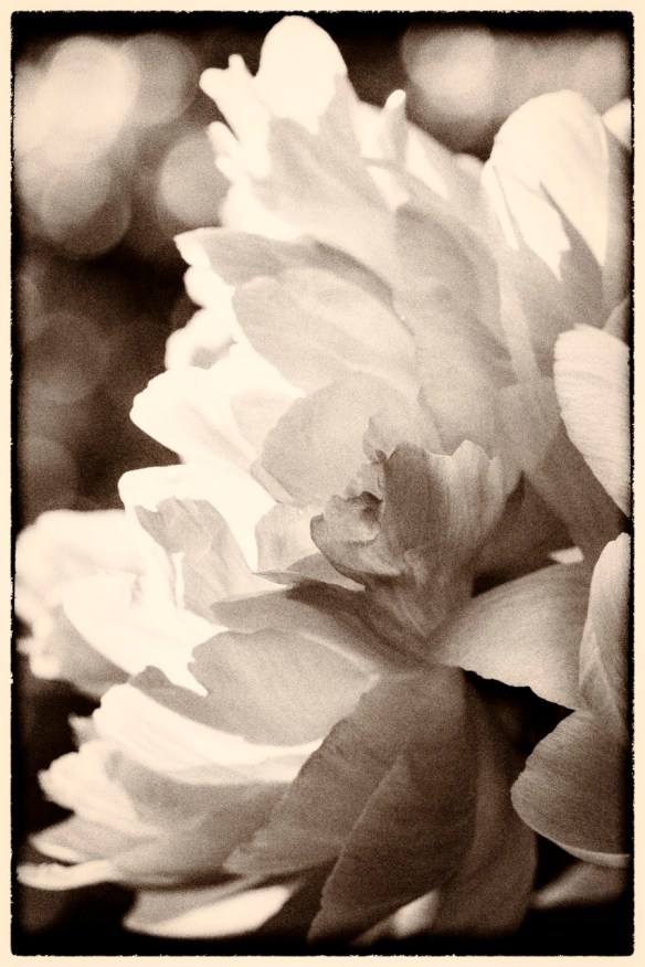 ©Jack French ©Jack French