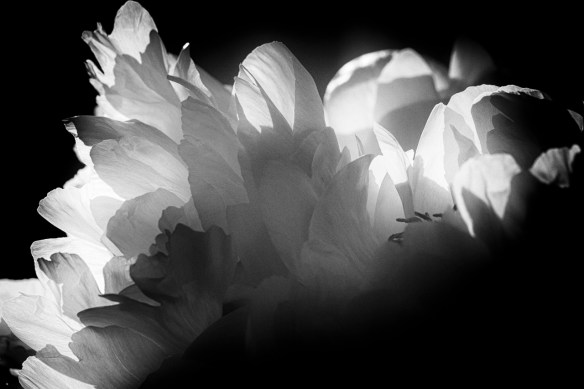 ©Jack French ©Jack French