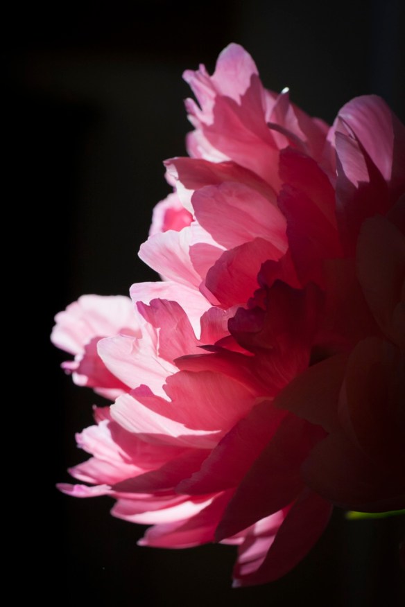 ©Jack French ©Jack French