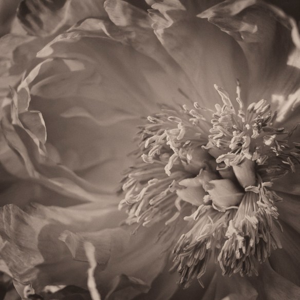 ©Jack French ©Jack French