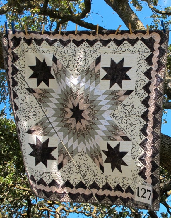 Quilting in The Garden at Alden Lane Nursery, #127 Star Medallion by Diana McClun & Laura Nownes Quilting in The Garden at Alden Lane Nursery
