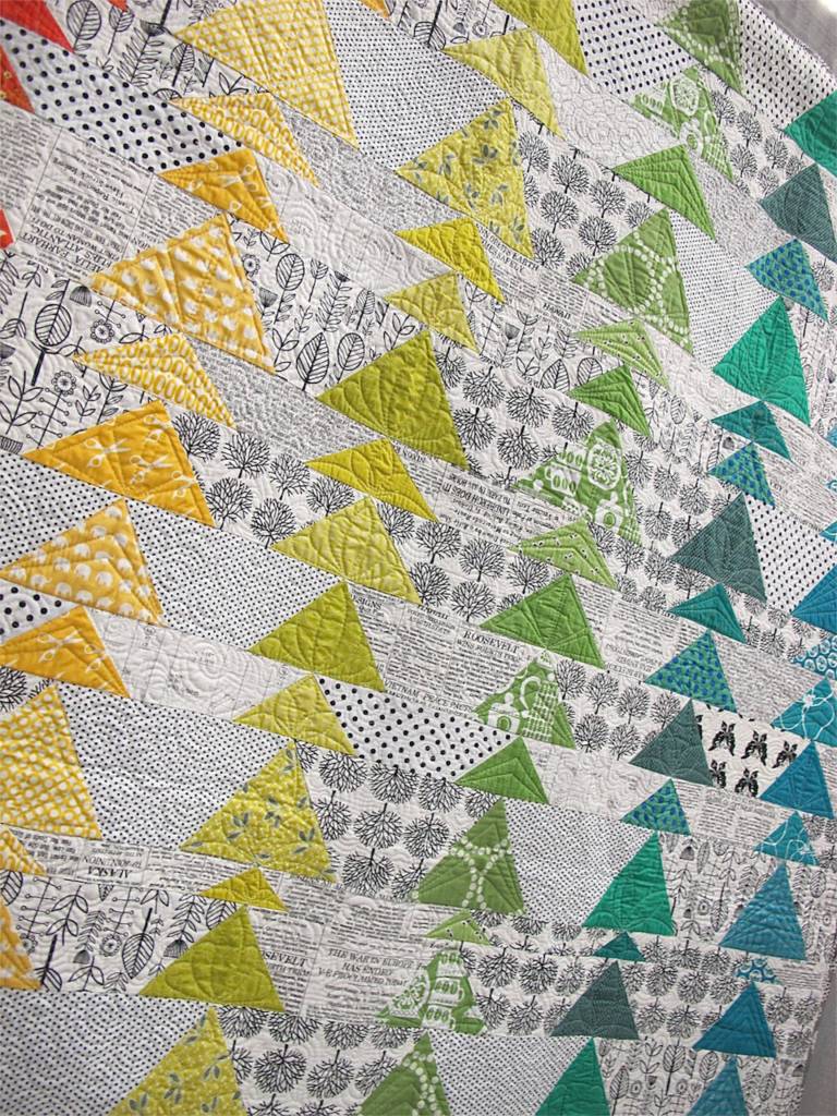 Ducks in a Row by Rebecca Bryan, Wildwood, MS. Quilted by Angela Walters.