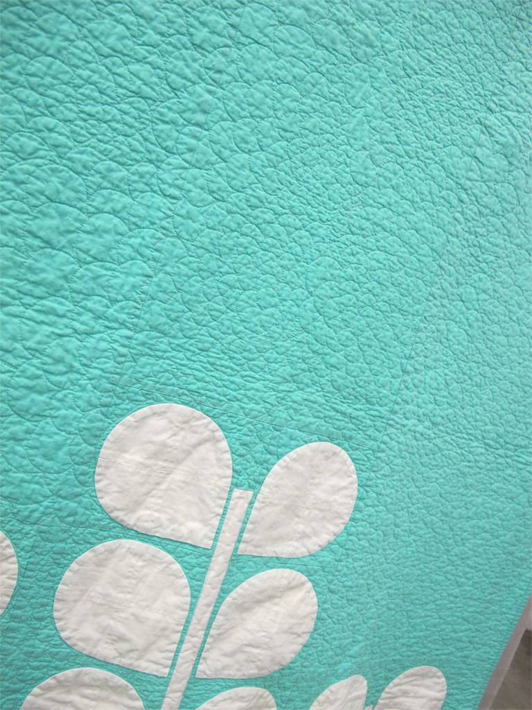 Modern Lily Bean by Claire Jain, Austin, Texas