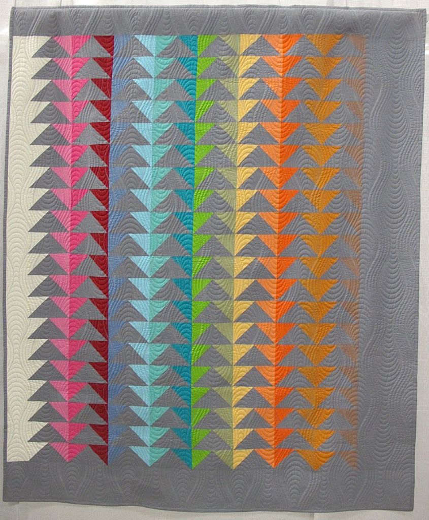 Fifty Shades of Geese by Patricia Roche, Chandler, AZ