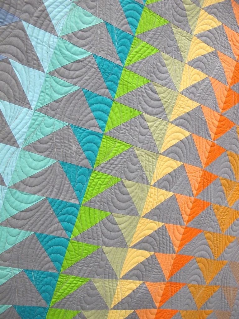 Fifty Shades of Geese by Patricia Roche, Chandler, AZ