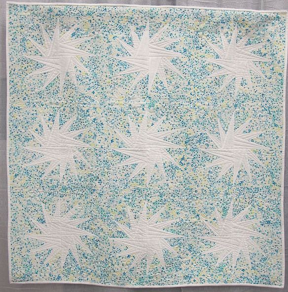 Apples Stars by Amy Garro, Indianapolis, Indiana. Quilted by Emily Sessions.