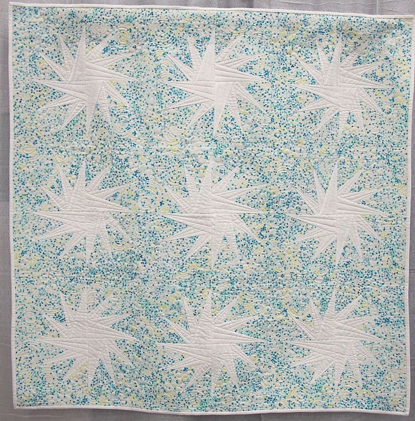 Apples Stars by Amy Garro, Indianapolis, Indiana. Quilted by Emily Sessions.