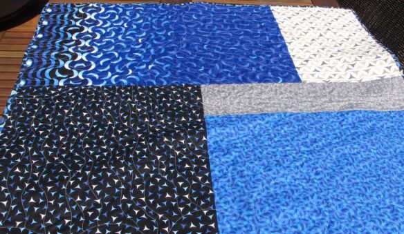 Back of Planetarius by Terri Carpenter Back of Planetarius by Terri Carpenter