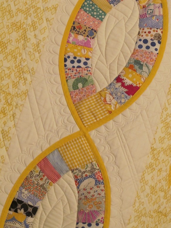 A Thousand Fibers Connects Us by Victoria Findlay Wolfe, quilted by Mandy Leins A Thousand Fibers Connects Us by Victoria Findlay Wolfe, quilted by Mandy Leins