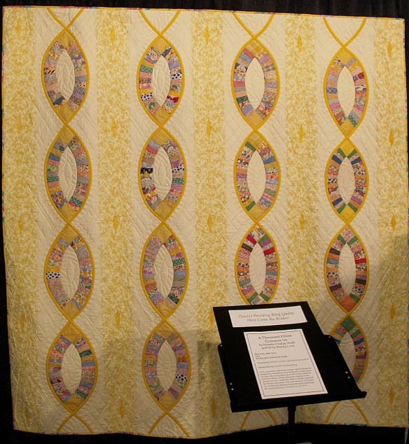 A Thousand Fibers Connects Us by Victoria Findlay Wolfe, quilted by Mandy Leins A Thousand Fibers Connects Us by Victoria Findlay Wolfe, quilted by Mandy Leins
