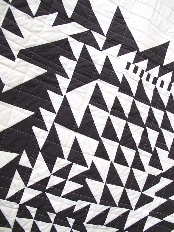 F*CK THE QUILT POLICE by Nancy Purvis F*CK THE QUILT POLICE by Nancy Purvis