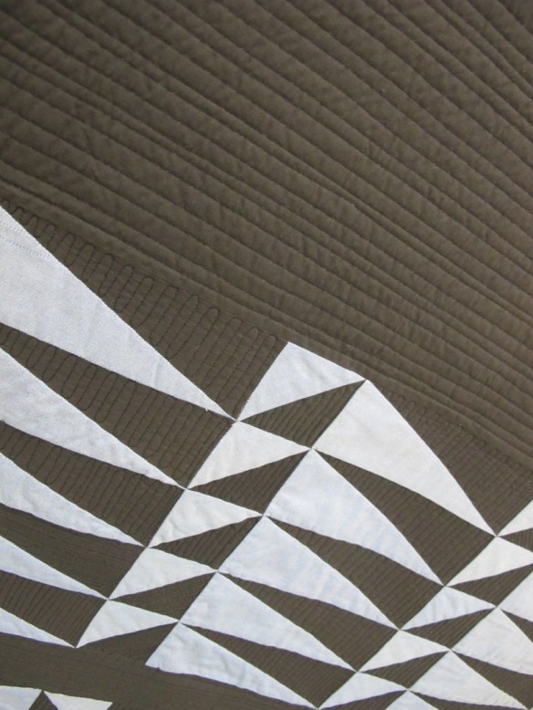 Mesa by Nancy Purvis, from her book Quilting From Every Angle Mesa by Nancy Purvis, from her book Quilting From Every Angle