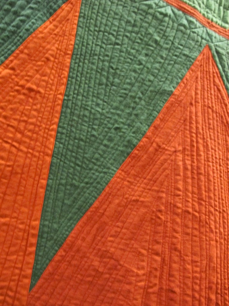 diamond back by Sue Fox