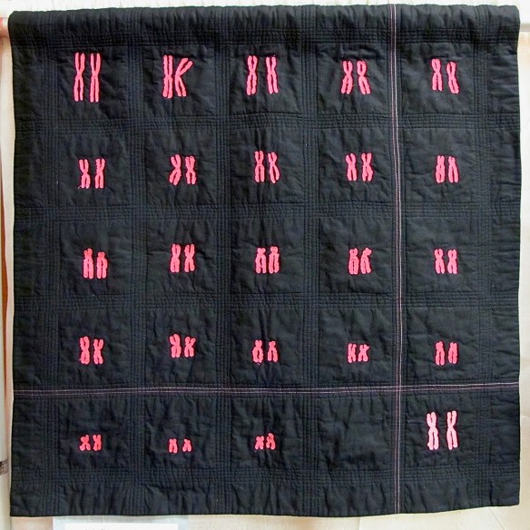 It's a Girl (Chimpanzee) by Lorraine Woodruff-Long