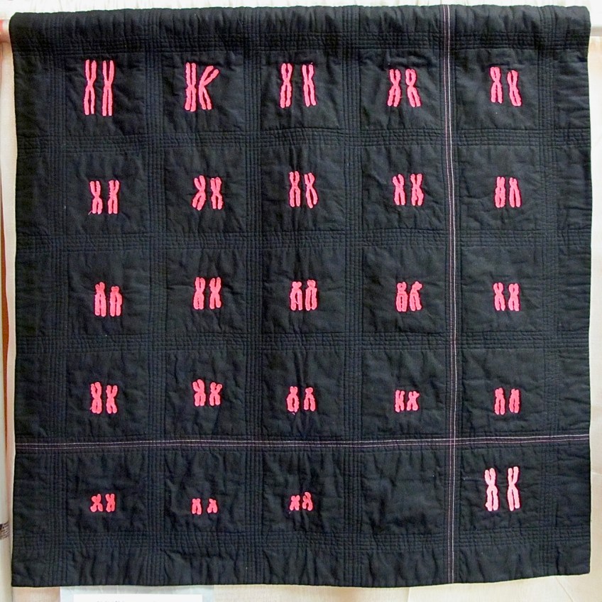 It's a Girl (Chimpanzee) by Lorraine Woodruff-Long